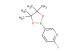 2-fluoro-5-(tetramethyl-1,3,2-dioxaborolan-2-yl)pyridine