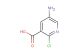 5-amino-2-chloropyridine-3-carboxylic acid