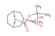 exo-8-[(tert-butoxy)carbonyl]-8-azabicyclo[3.2.1]octane-3-carboxylic acid