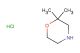 2,2-dimethylmorpholine hydrochloride