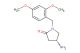 (4R)-4-amino-1-[(2,4-dimethoxyphenyl)methyl]pyrrolidin-2-one