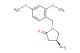 (4S)-4-amino-1-[(2,4-dimethoxyphenyl)methyl]pyrrolidin-2-one