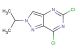 5,7-dichloro-2-(propan-2-yl)-2H-pyrazolo[4,3-d]pyrimidine