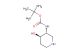 tert-butyl N-[(3R,4R)-4-hydroxypiperidin-3-yl]carbamate