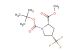1-tert-butyl 2-methyl (2s,4s)-4-(trifluoromethyl)pyrrolidine-1,2-dicarboxylate
