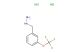 (3-(trifluoromethoxy)benzyl)hydrazine dihydrochloride