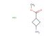 methyl 3-aminocyclobutane-1-carboxylate hydrochloride
