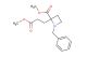 methyl 1-benzyl-2-(3-methoxy-3-oxopropyl)azetidine-2-carboxylate