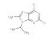 2,6-dichloro-8-methyl-9-(propan-2-yl)-9H-purine