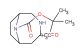tert-butyl 4-oxo-3,9-diazabicyclo[4.2.1]nonane-9-carboxylate