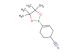 4-(tetramethyl-1,3,2-dioxaborolan-2-yl)cyclohex-3-ene-1-carbonitrile