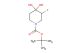 tert-butyl 3-fluoro-4,4-dihydroxypiperidine-1-carboxylate