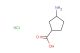 3-aminocyclopentane-1-carboxylic acid hydrochloride