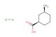 cis-3-aminocyclohexane-1-carboxylic acid hydrochloride