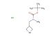 tert-butyl N-(azetidin-3-ylmethyl)-N-methylcarbamate hydrochloride
