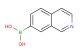 (isoquinolin-7-yl)boronic acid