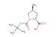 (2R,4S)-1-[(tert-butoxy)carbonyl]-4-methylpyrrolidine-2-carboxylic acid