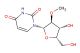 2'-methoxy-2'-deoxyuridine