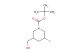 tert-butyl 3-fluoro-5-(hydroxymethyl)piperidine-1-carboxylate