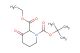 1-tert-butyl 2-ethyl 3-oxopiperidine-1,2-dicarboxylate