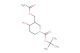 tert-butyl 3-(acetoxymethyl)-4-hydroxypiperidine-1-carboxylate