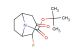tert-butyl 2-fluoro-3-oxo-8-azabicyclo[3.2.1]octane-8-carboxylate