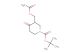 tert-butyl 3-(acetoxymethyl)-4-oxopiperidine-1-carboxylate