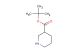 3-piperidinecarboxylic acid t-butyl ester