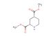 cis-dimethyl piperidine-2,4-dicarboxylate