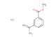 3-methoxycarbonyl benzamidine hydrochloride