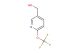 [6-(trifluoromethoxy)pyridin-3-yl]methanol