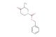 1-cbz-3-methyl-piperidin-4-one