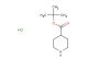 tert-butyl piperidine-4-carboxylate