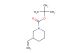 3-Vinyl-piperidine-1-carboxylic acid tert-butyl ester