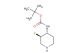 tert-butyl N-[(3R,4R)-3-fluoropiperidin-4-yl]carbamate