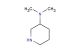 3-dimethylaminopiperidine
