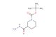 tert-butyl 3-(hydrazinecarbonyl)piperidine-1-carboxylate