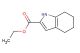 ethyl 4,5,6,7-tetrahydro-1H-indole-2-carboxylate