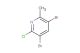 2-chloro-3,5-dibromo-6-methylpyridine