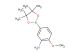 2-methoxy-5-(4,4,5,5-tetramethyl-1,3,2-dioxaborolan-2-yl)aniline
