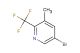 5-bromo-3-methyl-2-(trifluoromethyl)pyridine