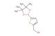 (5-(4,4,5,5-tetramethyl-1,3,2-dioxaborolan-2-yl)thiophen-2-yl)methanol