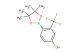 4-(4,4,5,5-tetramethyl-1,3,2-dioxaborolan-2-yl)-3-(trifluoromethyl)phenol