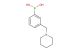 3-(piperidin-1-ylmethyl)phenylboronic acid