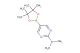 N,N-dimethyl-5-(4,4,5,5-tetramethyl-1,3,2-dioxaborolan-2-yl)pyrimidin-2-amine
