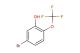 5-bromo-2-(trifluoromethoxy)phenol