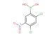 2,4-dichloro-5-nitrophenylboronic acid