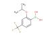 2-isopropoxy-4-(trifluoromethyl)phenylboronic acid
