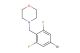 4-(4-bromo-2,6-difluorobenzyl)morpholine