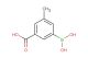 3-carboxy-5-methylphenylboronic acid